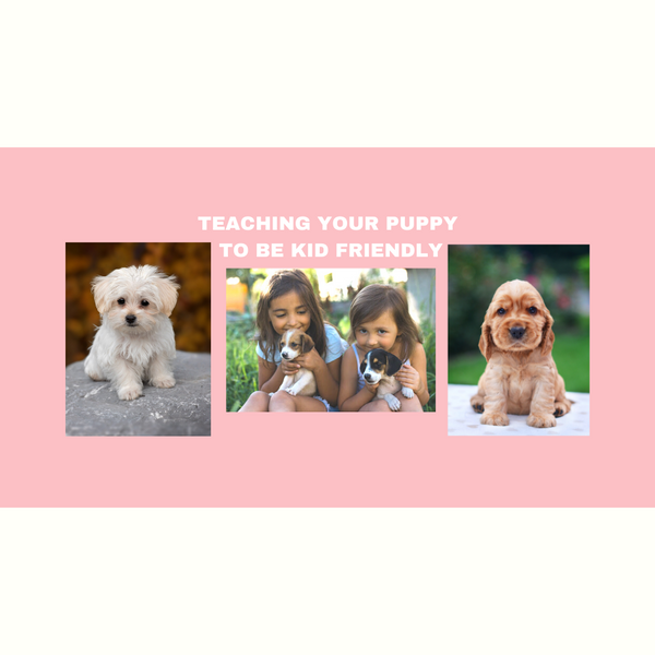 Teaching Your Puppy To Be Kid Friendly