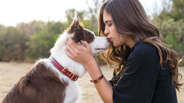 7 Hilarious Things Only Dog Owners Understand
