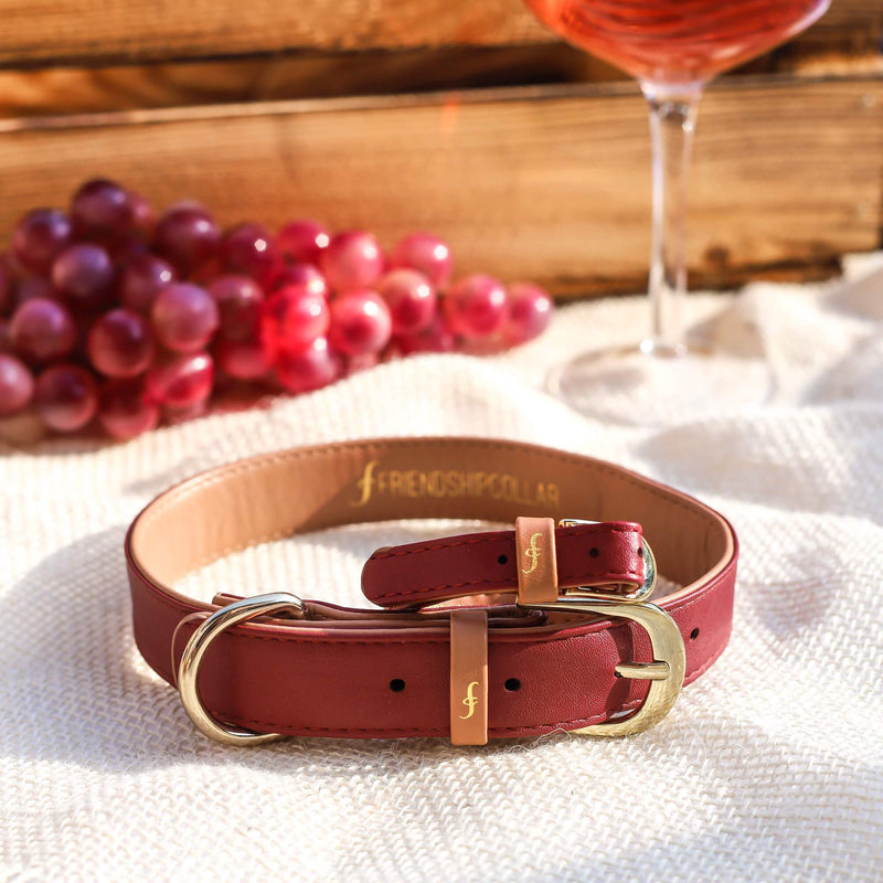 The Classic Pup: Bordeaux
