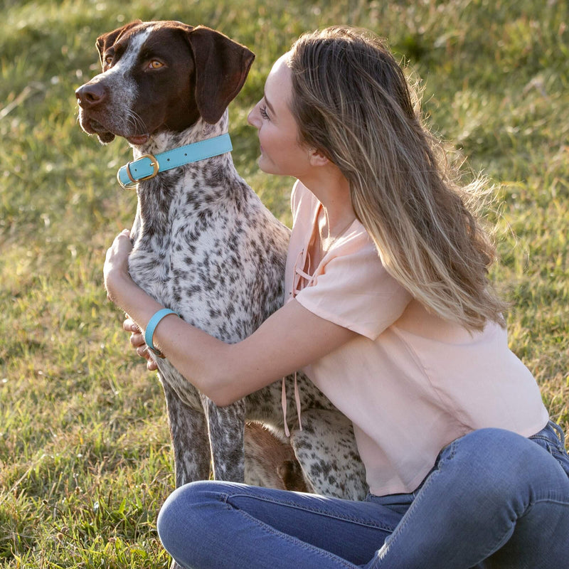 The Classic Pup: Azure