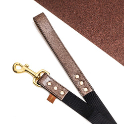The Sparkling Pup: Glitter Bronze - Leash