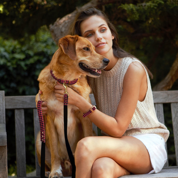 The Hipster Pup - Leash