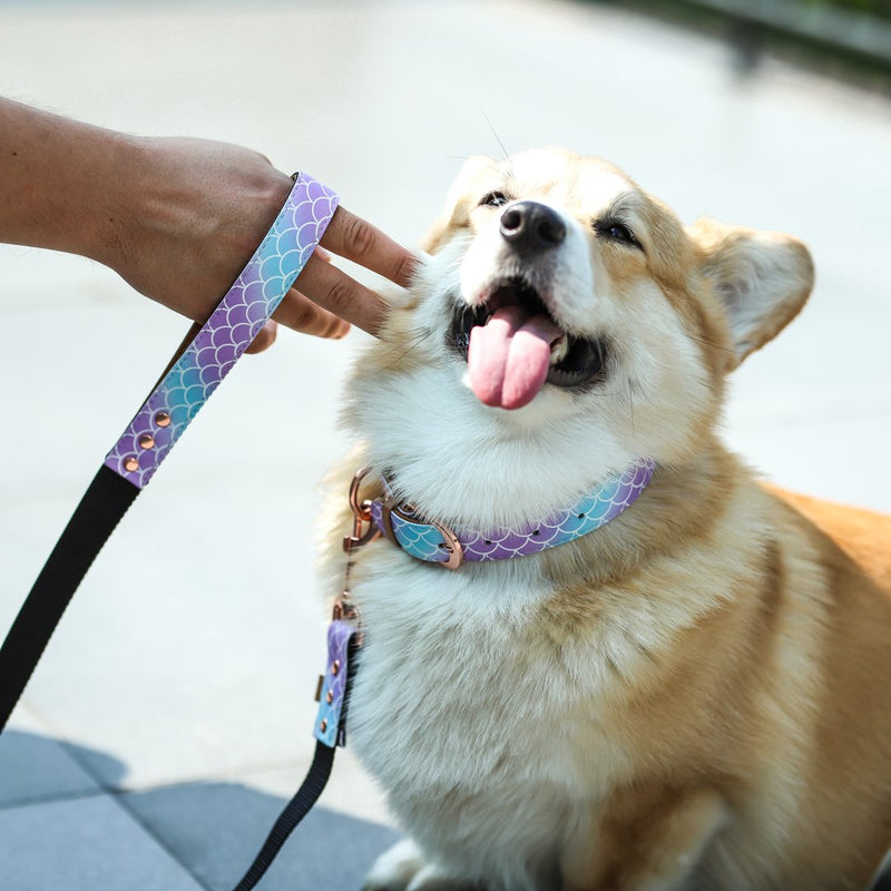 Mermaid Tails - Leash