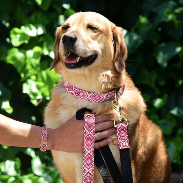 The Pedigree Princess - Leash