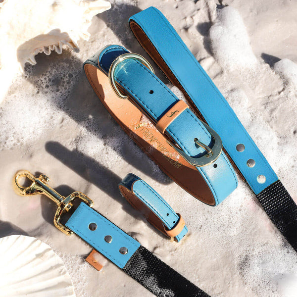 The Classic Pup: Seafoam Blue - Leash