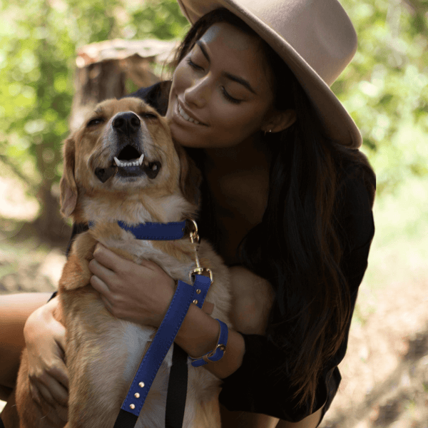 The Classic Pup: Monaco Blue - Leash