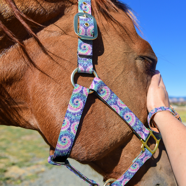 Day Dream Believer - Horse Halter