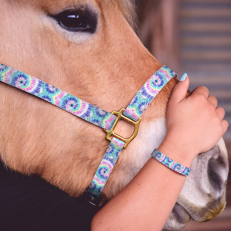 Day Dream Believer - Horse Halter