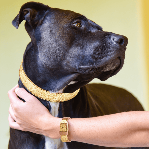The Sparkling Pup: Glitter Gold