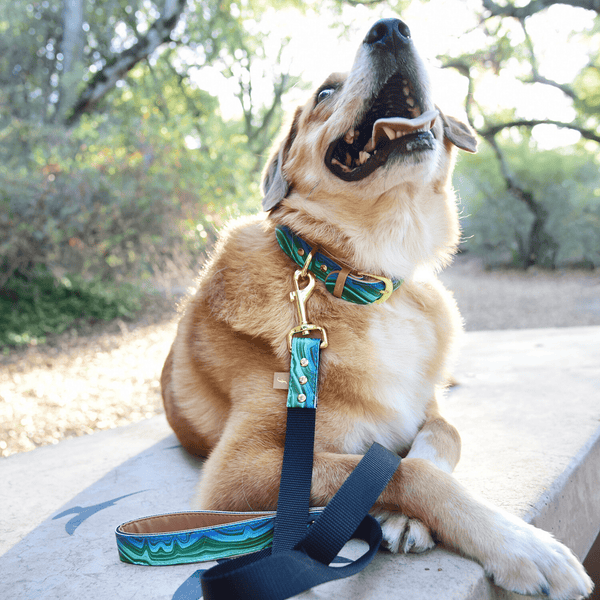 Magical Malachite - Leash