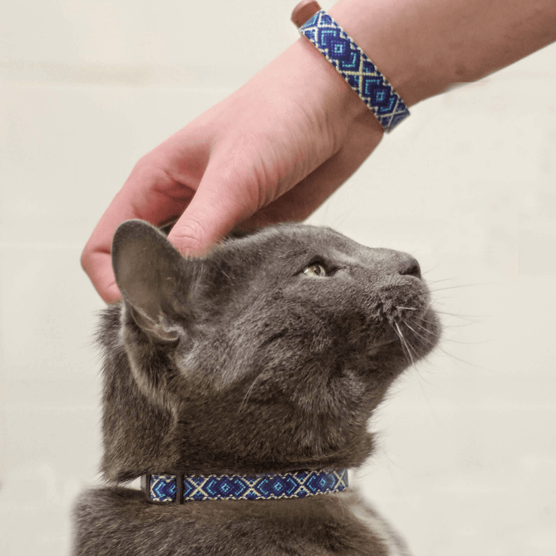 Mr Purrfect